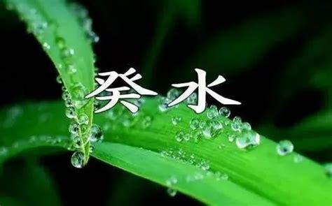 葵水命|【八字 葵水】八字命盤「葵水」大解析！揭曉你的運勢與人生走。